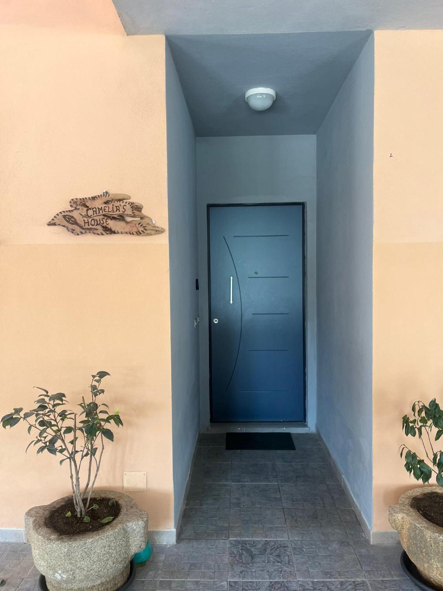 Camelia'S House Apartment Олбия Екстериор снимка